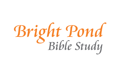 Bright Pond Logo
