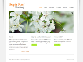 Bright Pond Website