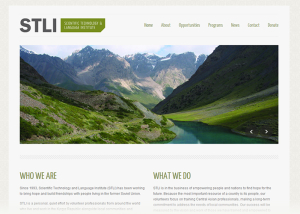 STLI Website